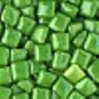 Breath Refresh (Chlorophyll) Gum--DISC