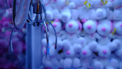 How To Win More Often On A Claw Machine