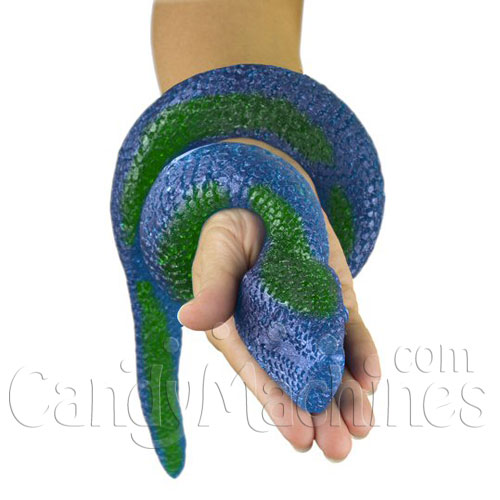 Buy a Giant Gummy King Snake!