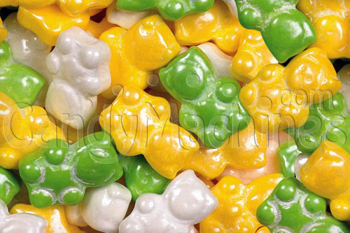 Now Selling Teddy Bears Candy!