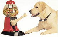 Pets Love Christmas Too
