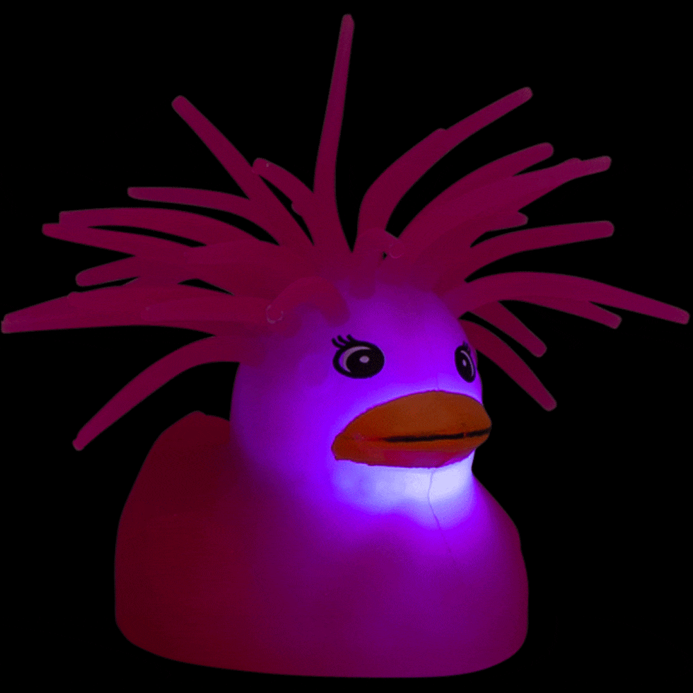 R8934-4.1790783147544.gif