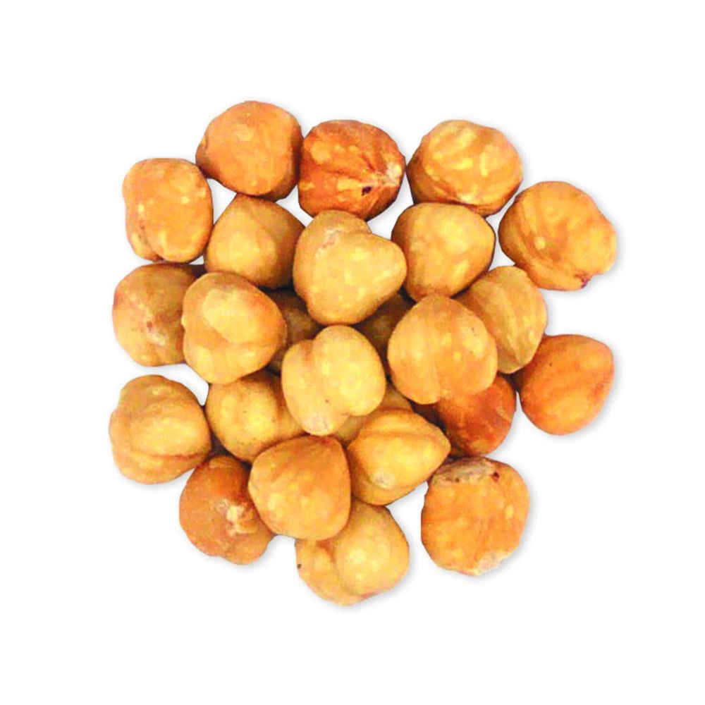 Roasted and Salted Blanched Bulk Filberts Hazelnuts