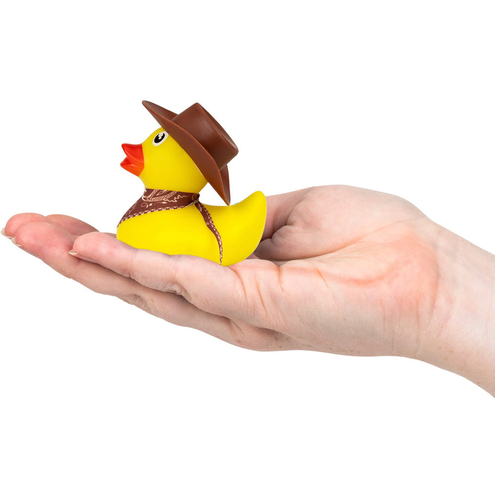 rud28b_aa-global-ducks-w-cowboy-hats-and-bandana-duck-in-hand-large-pic.1768503928057.jpg