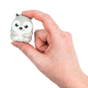 sqsn10b.1763066364743.gif