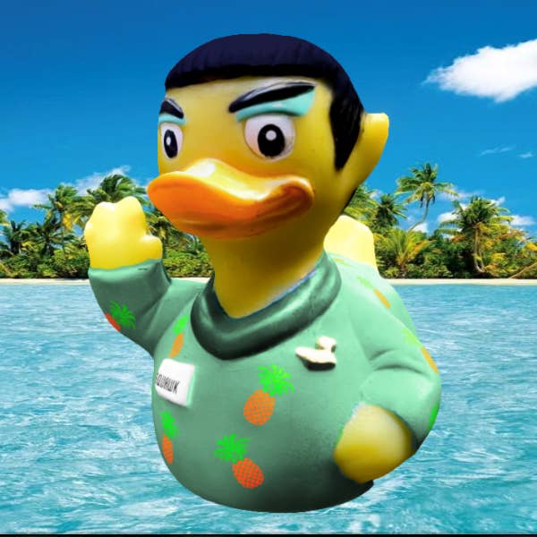 tropical-squawk-3.1783946957447.jpg