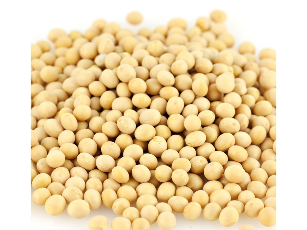 Buy Raw Bulk Soy Nuts (50 lbs) Vending Machine Supplies For Sale