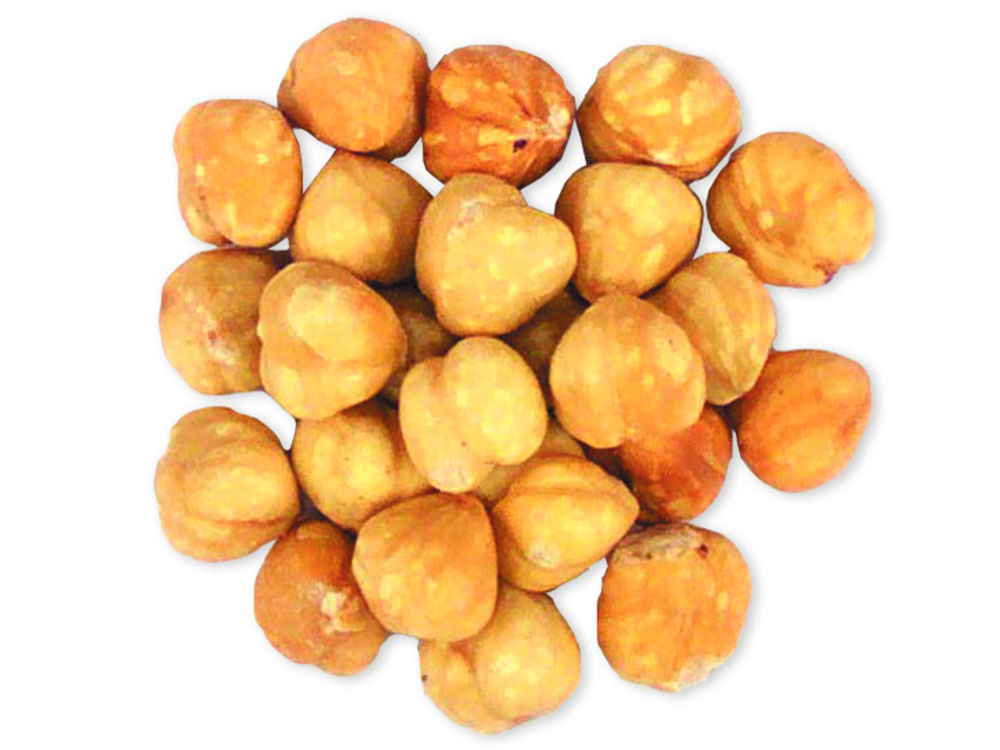 Buy Roasted and Salted Blanched Bulk Filberts (Hazelnuts) Vending