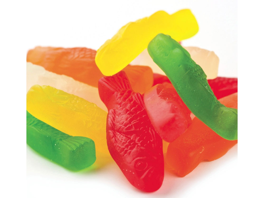 Buy Assorted Gummy Fish Bulk Candy (20 lbs) Vending Machine Supplies For Sale