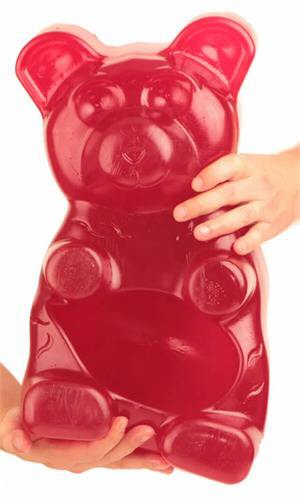 B.O.B. - Big Ol' Bear The Giant Gummy Bear