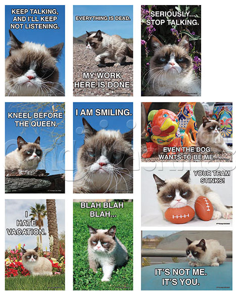 Grumpy Cat Vending Stickers